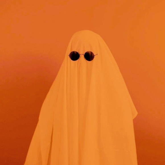 Meet your Posher, Kat - Picture 1 of 1